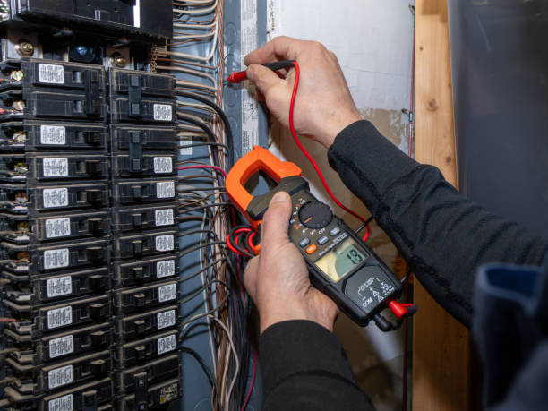 Best Local Electrician Companies  in Pulaski, NY